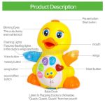 اردک رقاص هولا تویز - Image 2