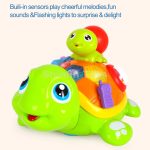 لاک پشت پدر و بچه هولا تویز - Image 9