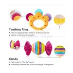 ست جغجغه بزرگ (10 عددی) هولا تویز - Image 6