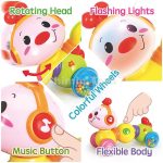 کرم خزنده هولا تویز - Image 8