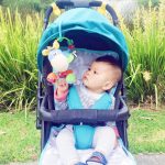 عروسک اسبی حلقه و مهره (آبی) پلی گرو - Image 5