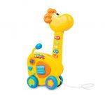 گیتار زرافه وین فان