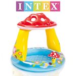 استخر بادی طرح قارچ اینتکس