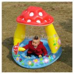 استخر بادی طرح قارچ اینتکس - Image 2