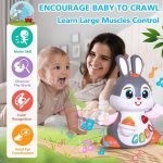 خرگوش رقاص هولا تویز - Image 3